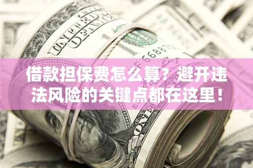 济南借款担保费怎么算？避开违法风险的关键点都在这里！